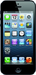 Apple iPhone 5 64GB - Городец